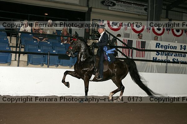 Proof Number r14-04_0173